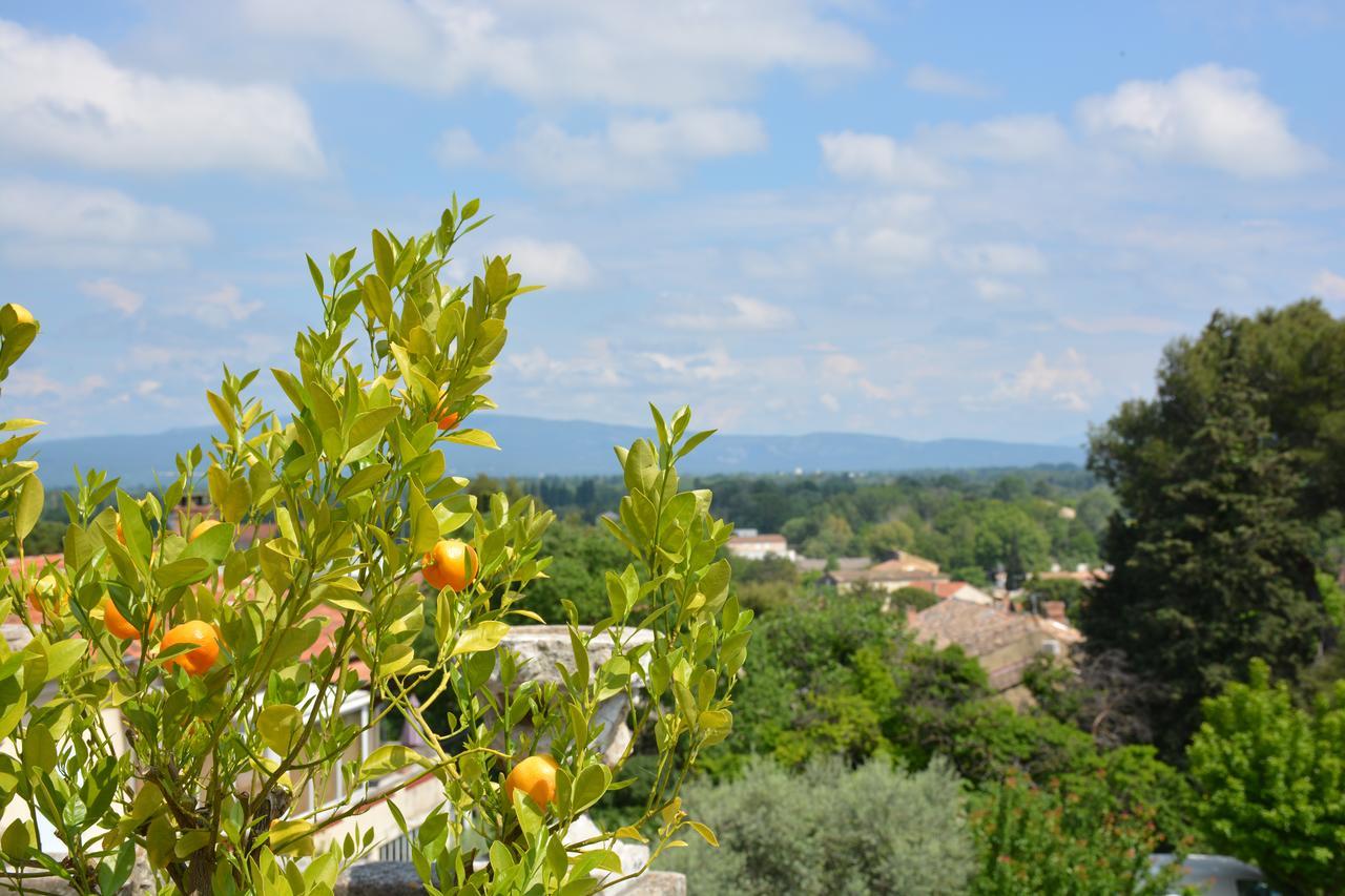 Le Petit Chateau Bed & Breakfast Chateauneuf-de-Gadagne Exterior photo